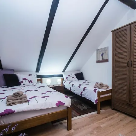Apartman Jozefina Netretic Room photo
