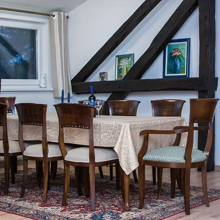 Apartman Jozefina Netretic Room photo