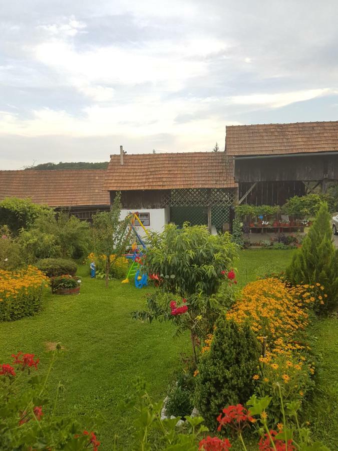 Apartment Jozefina